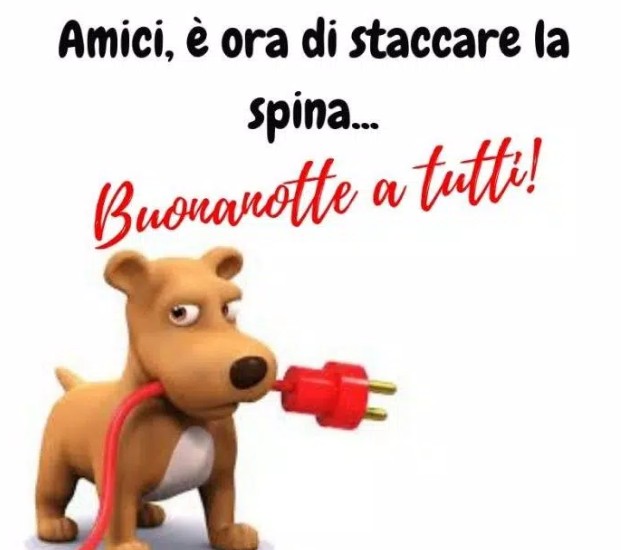 immagini divertenti buonanotte 