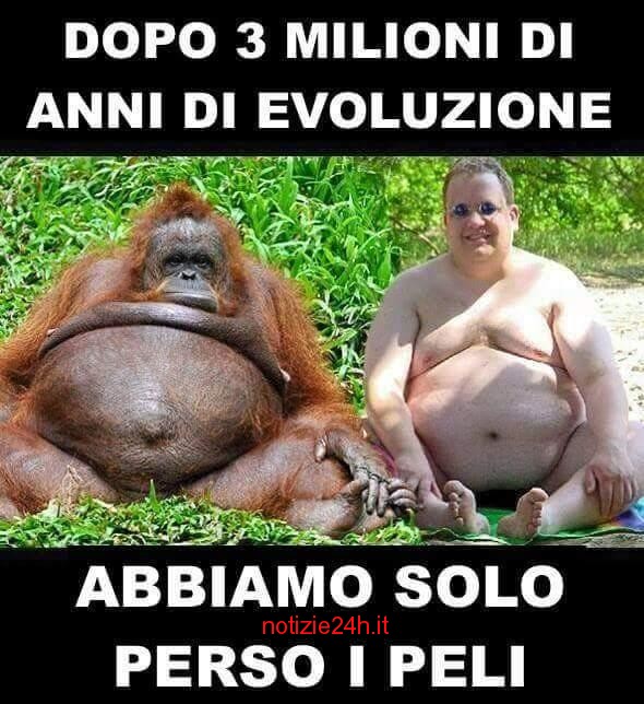 Immagini divertenti per Whatsapp | Notizie24h.it