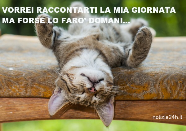 immagini divertenti buonanotte