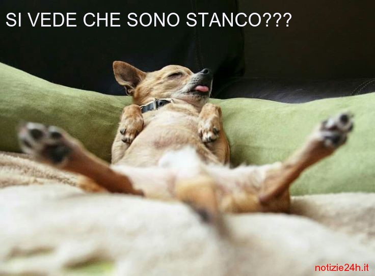 immagini divertenti buonanotte