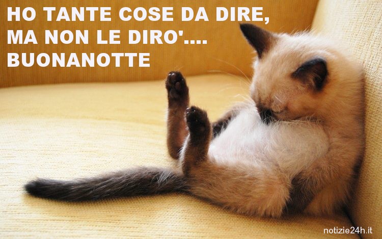 immagini divertenti buonanotte