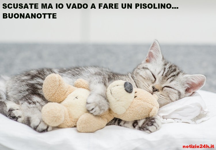immagini divertenti buonanotte
