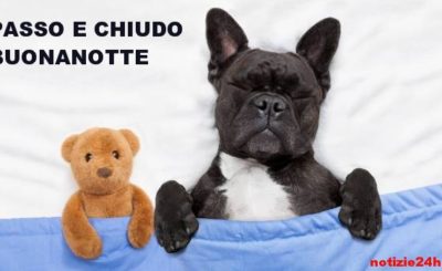 immagini divertenti buonanotte