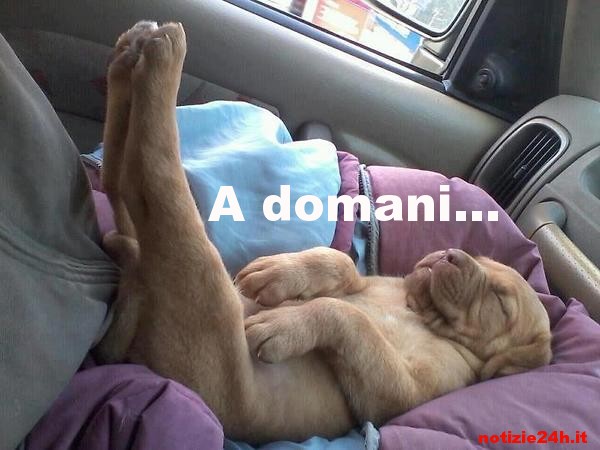 immagini divertenti buonanotte