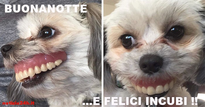 immagini divertenti buonanotte