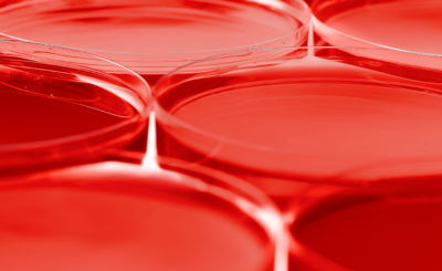 come_ottenere_colore_rosso