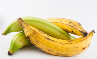 differenza_platano_banana