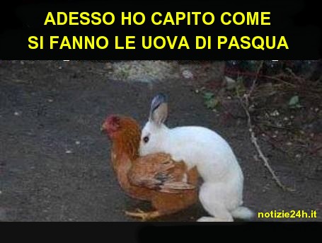 immagini_divertenti_whatsapp