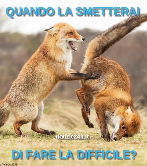 immagini_divertenti_whatsapp