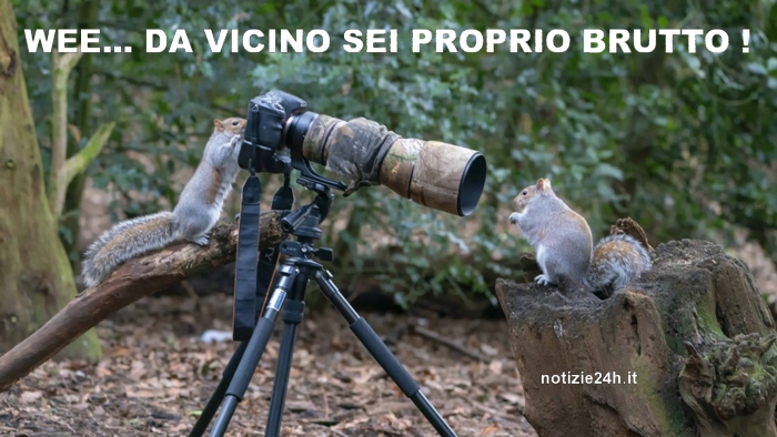 immagini_divertenti_whatsapp