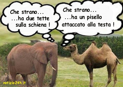 immagini_divertenti_whatsapp