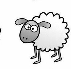 come disegnare una pecorella
