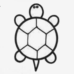 come disegnare una tartaruga