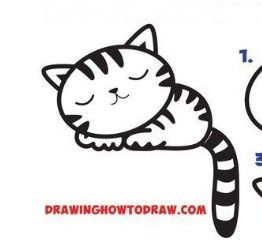 come disegnare un gatto che dorme