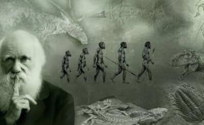 teoria della evoluzione