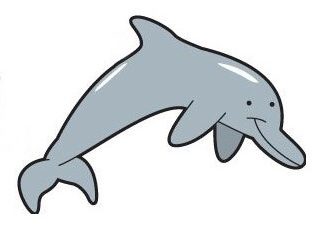 come disegnare un delfino
