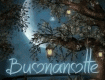 gif buonanotte