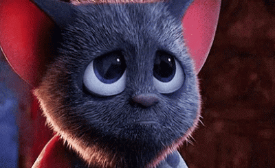 gif sorry forgive me