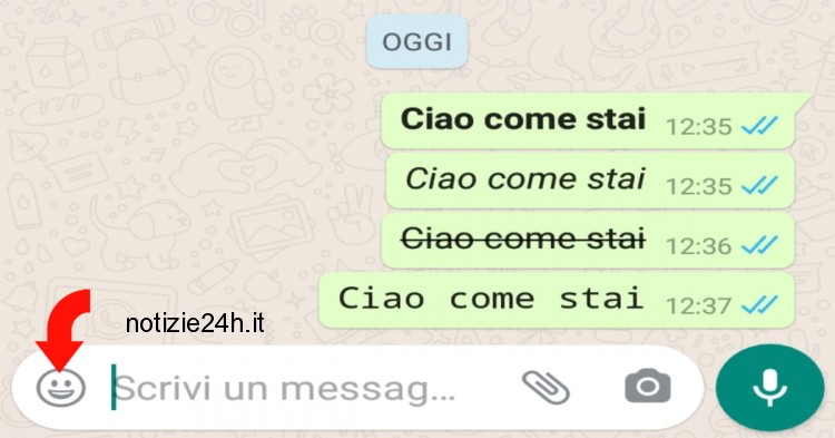 casella di testo whatsapp