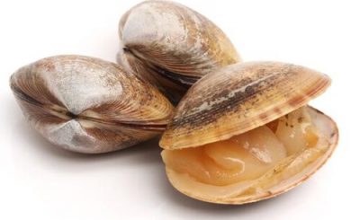 differenza vongole e vongole veraci