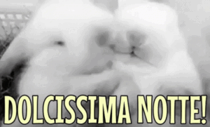gif bacio della buonanotte