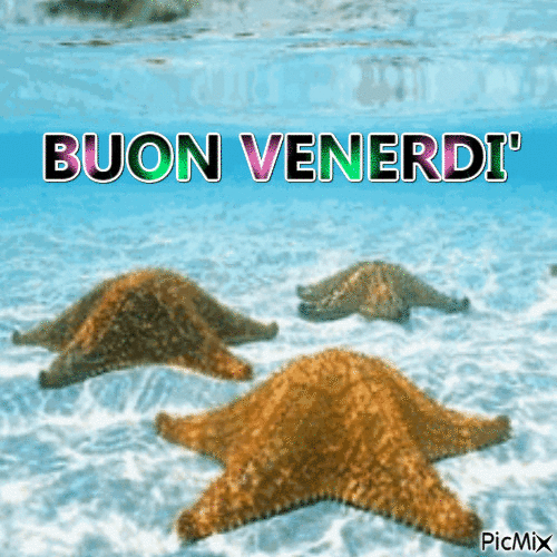 gif buon venerdì estate