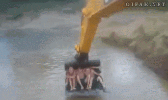 gif divertenti