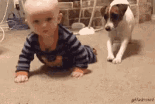 gif divertenti bambini