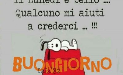 immagini divertenti buon lunedì