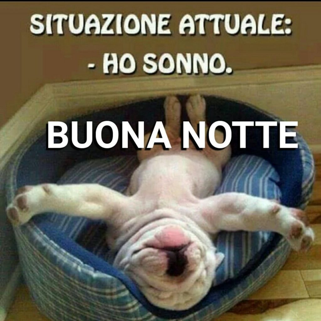 immagini divertenti buonanotte whatsapp