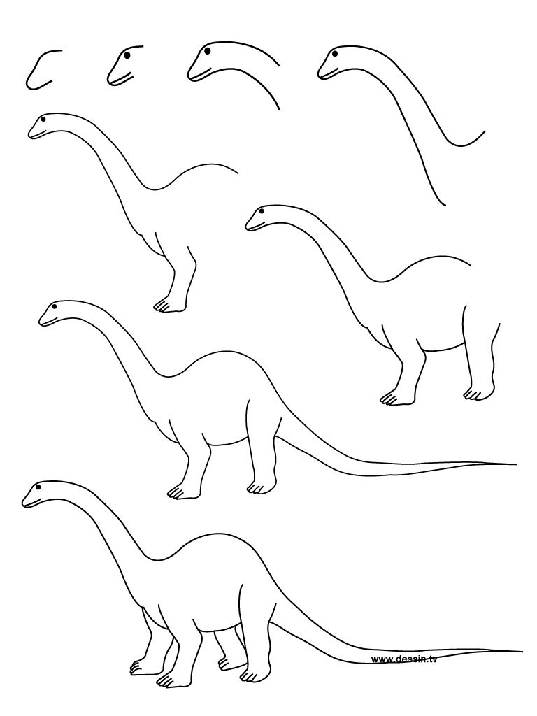 come disegnare un brontosauro