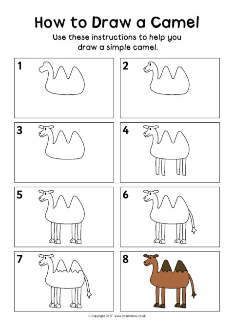 come disegnare un cammello