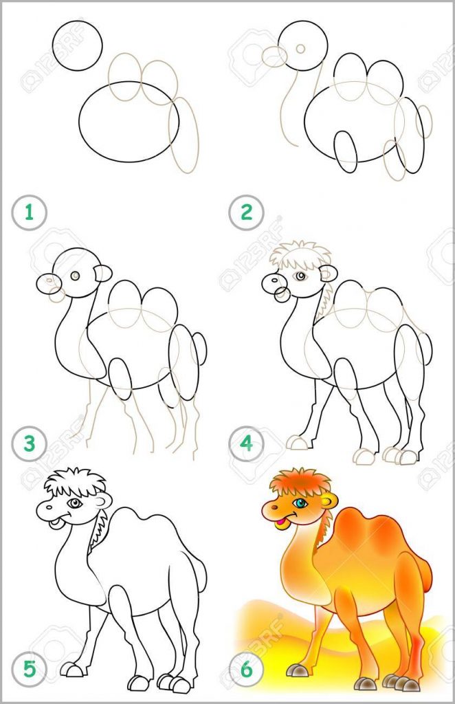 come disegnare un cammello