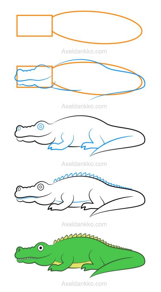 come disegnare un alligatore