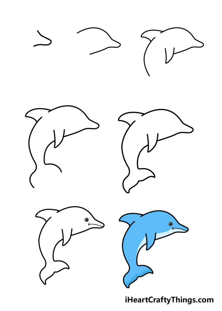 come disegnare un delfino