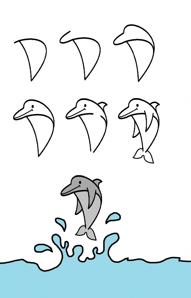come disegnare un delfino