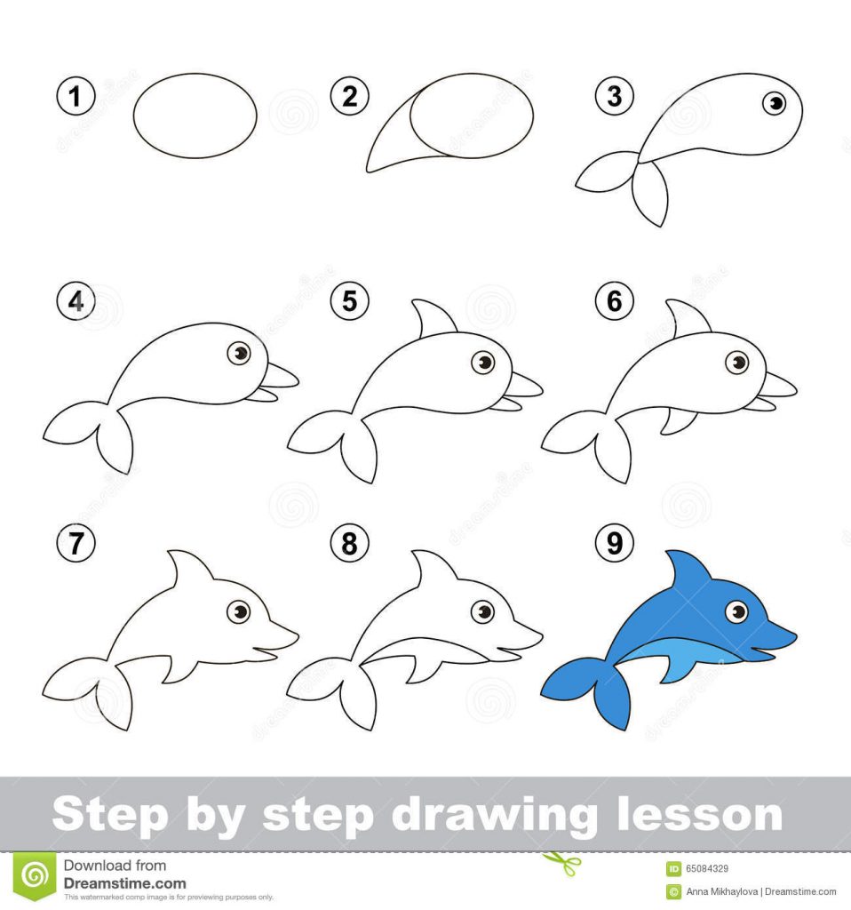 come disegnare un delfino