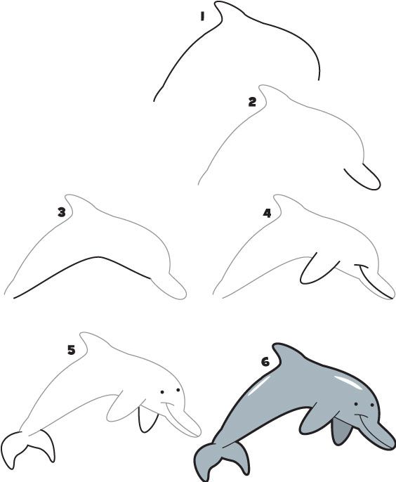 come disegnare un delfino