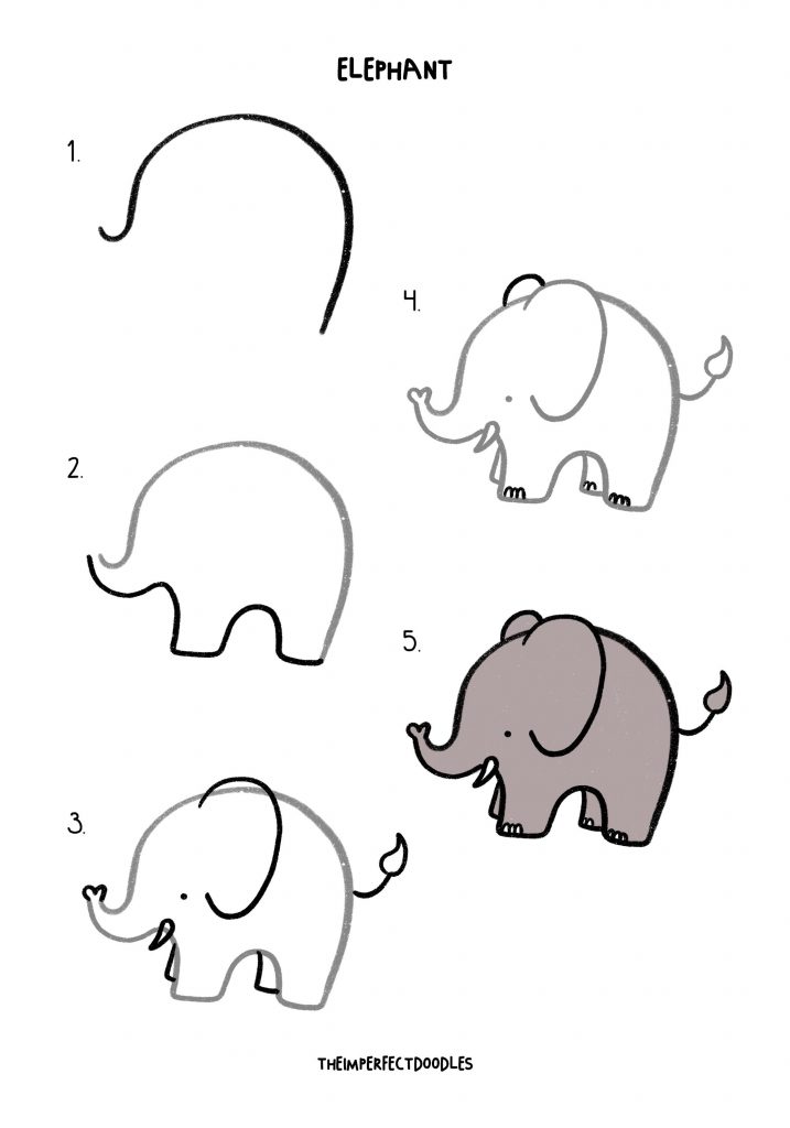 come disegnare un elefante