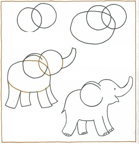 come disegnare un elefante