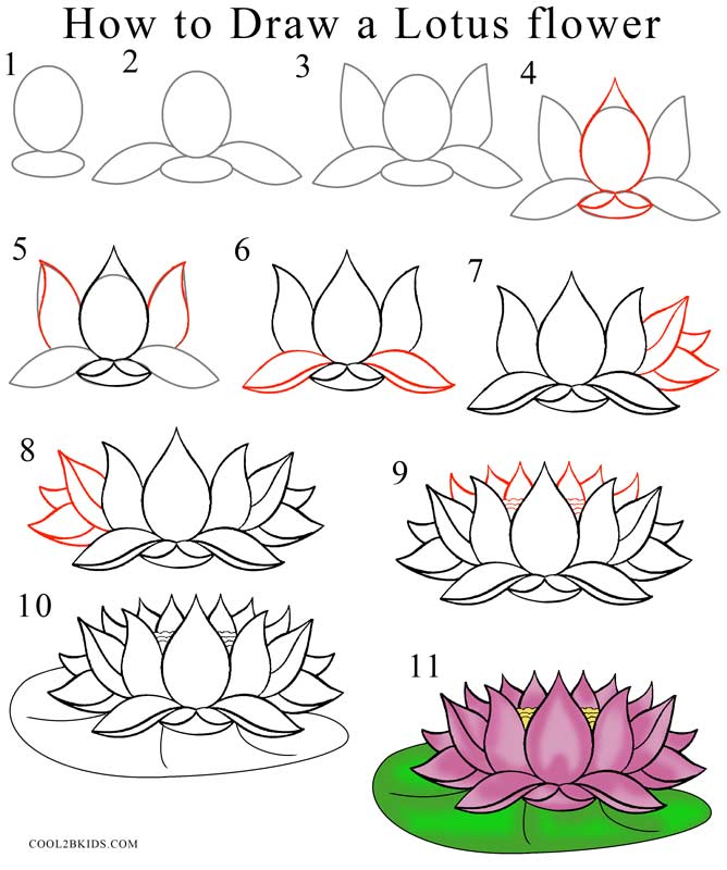 come disegnare un fiore di loto