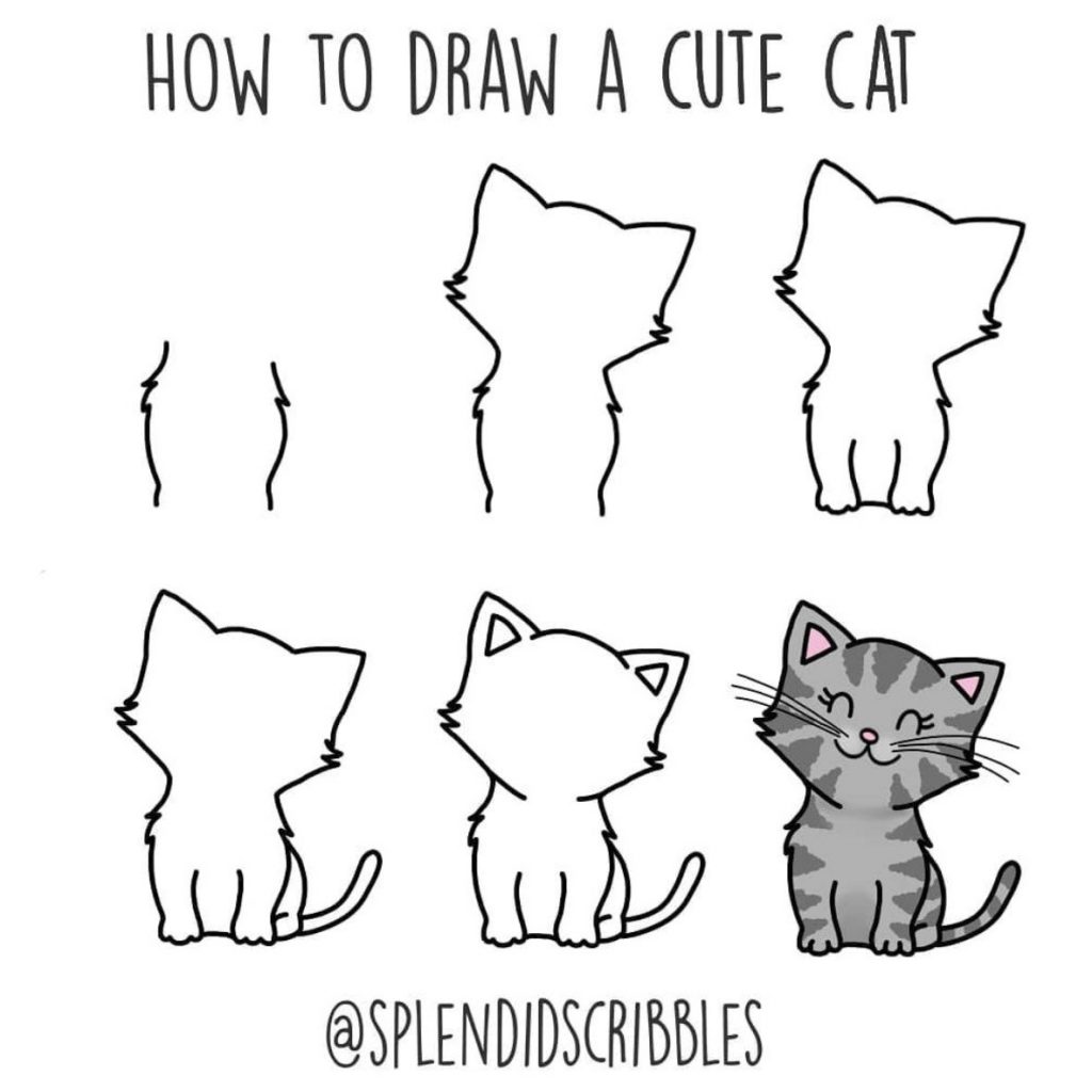 come disegnare un gatto