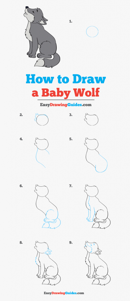 come disegnare un lupo