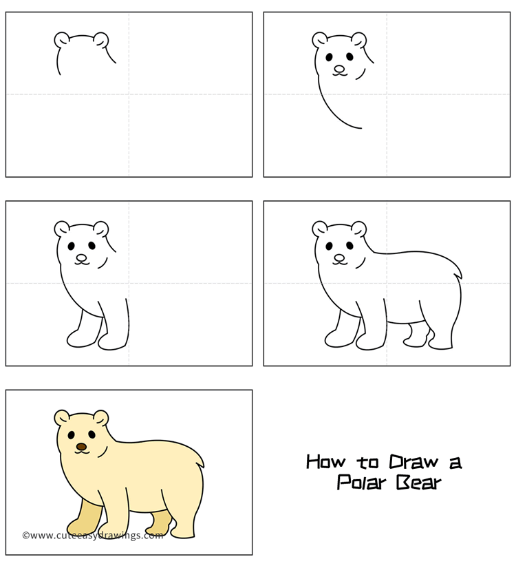disegnare un orso polare