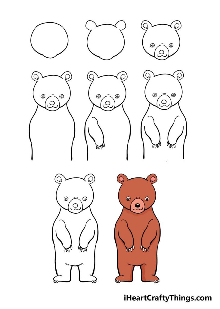come disegnare un orso