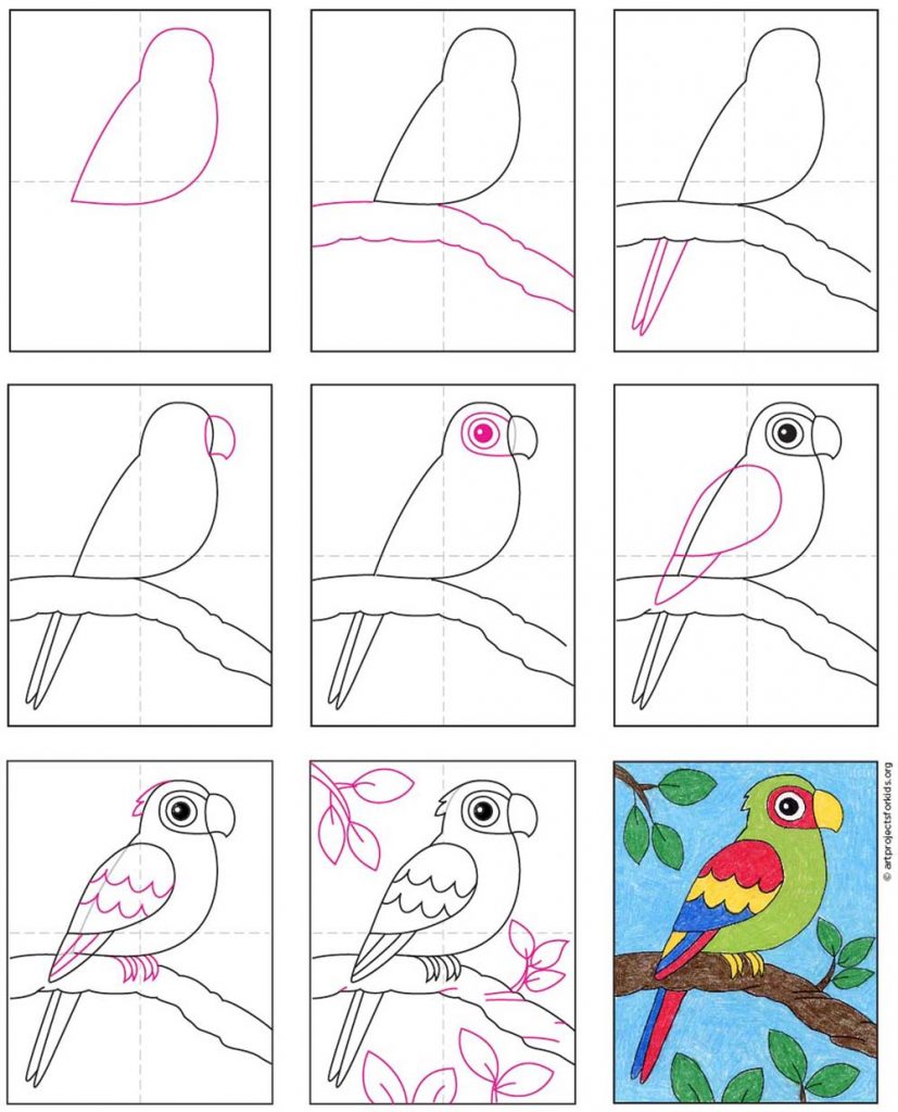 come disegnare un pappagallo