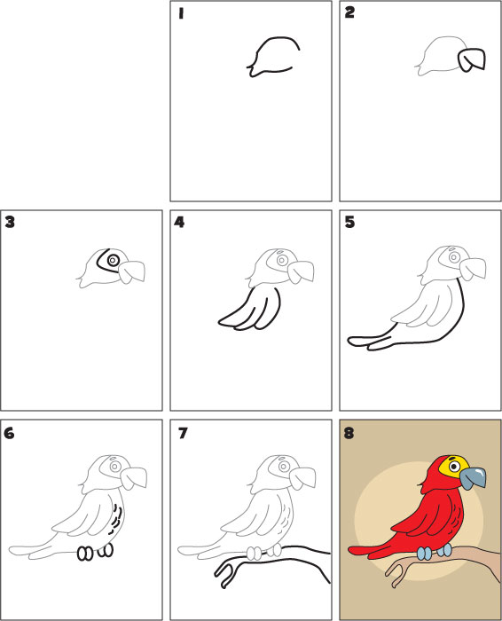 come disegnare un pappagallo