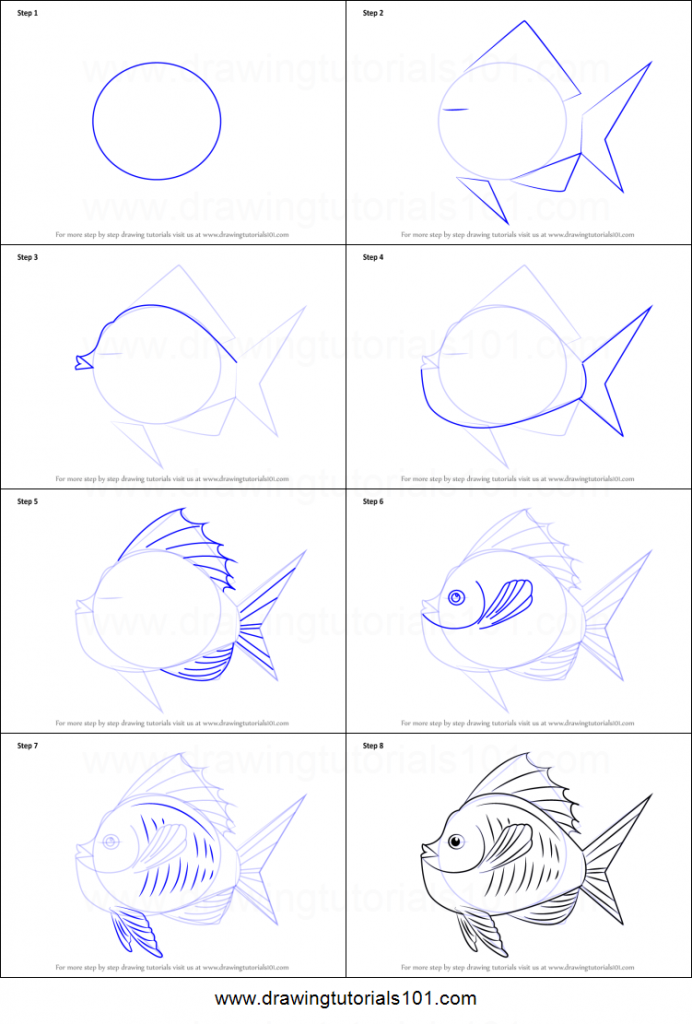 come disegnare un pesce
