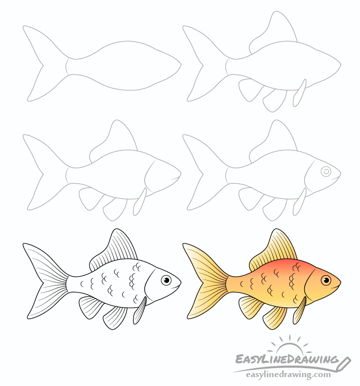 come disegnare un pesce rosso