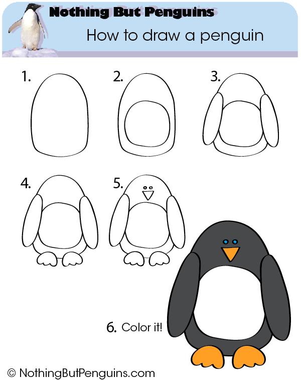 come disegnare un pinguino